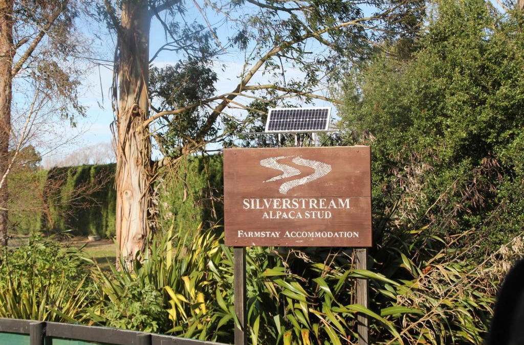 Kaiapoi House | Silverstream Alpaca Farmstay & Tour