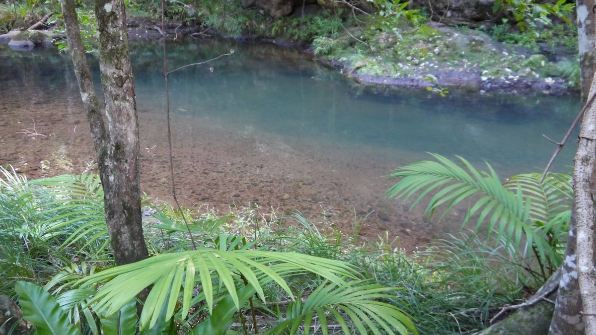 Cougal Resort | Sine Cera Rainforest Retreat