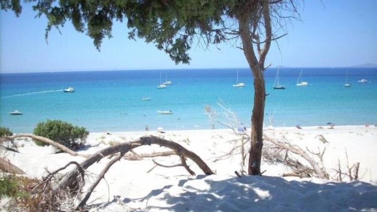 Sant'Anna Arresi Apartment | Single house detached courtyard terrace sea view