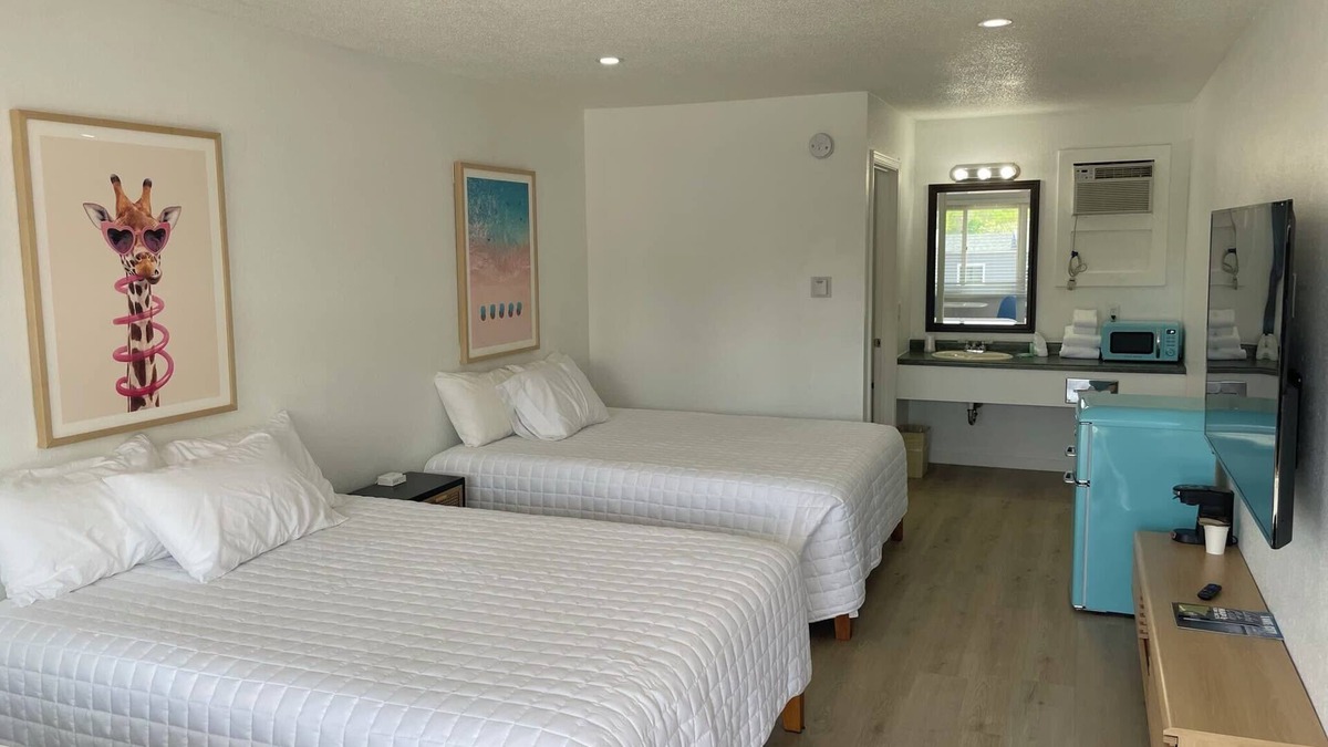 Lake City Apartment | Single King Room w/Sleeper Sofa (main level)