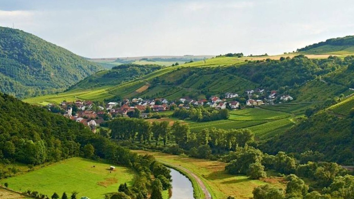 Niederhausen Bed & Breakfast | Single Room Shower/WC - Weingut und Gästehaus Franzmann