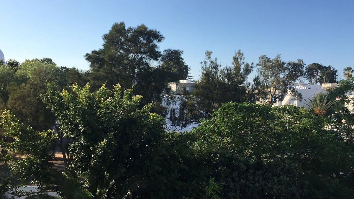 Sidi Abdel Aziz Bed & Breakfast | Single room with balcony