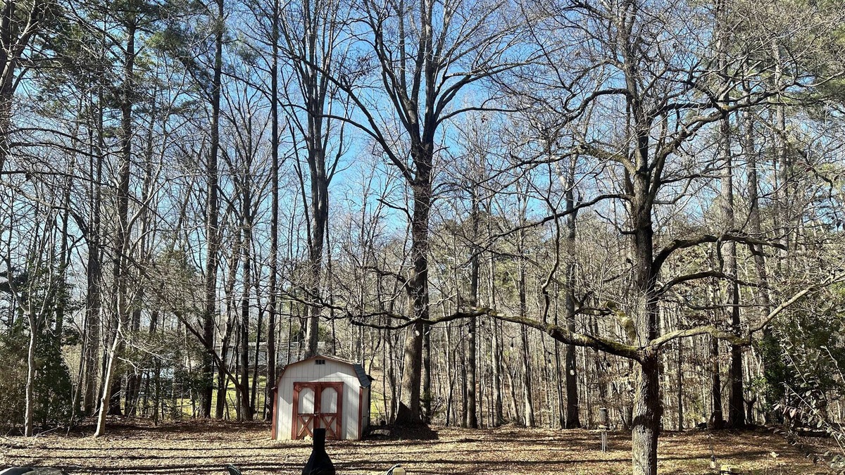 Littleton House | Single-Wide Stunner: Lake Access, Recreational Park, Super Cozy, Dog Friendly!