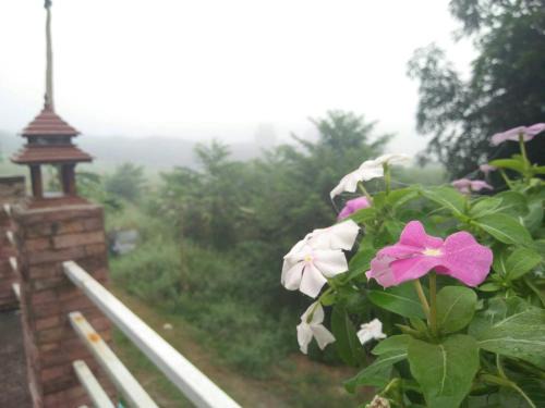 Mueang Loei Hotel | Sirima Thani Hotel