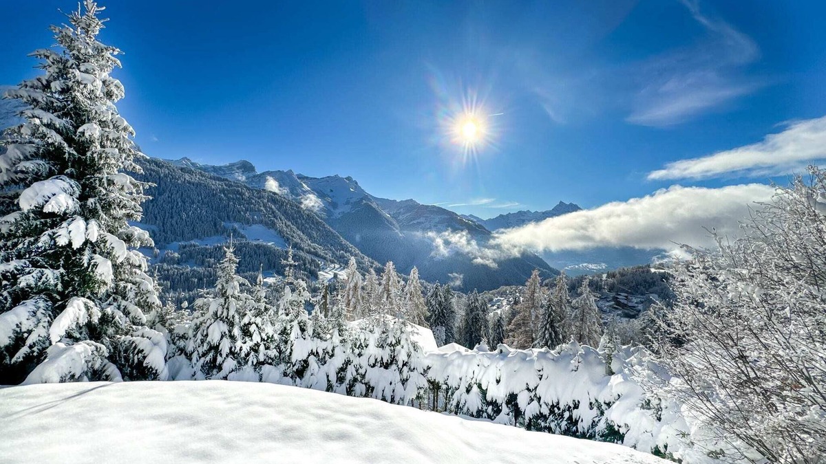 Barboleusaz Ski Chalet | Ski in-out Sumptuous Chalet Breathtaking views