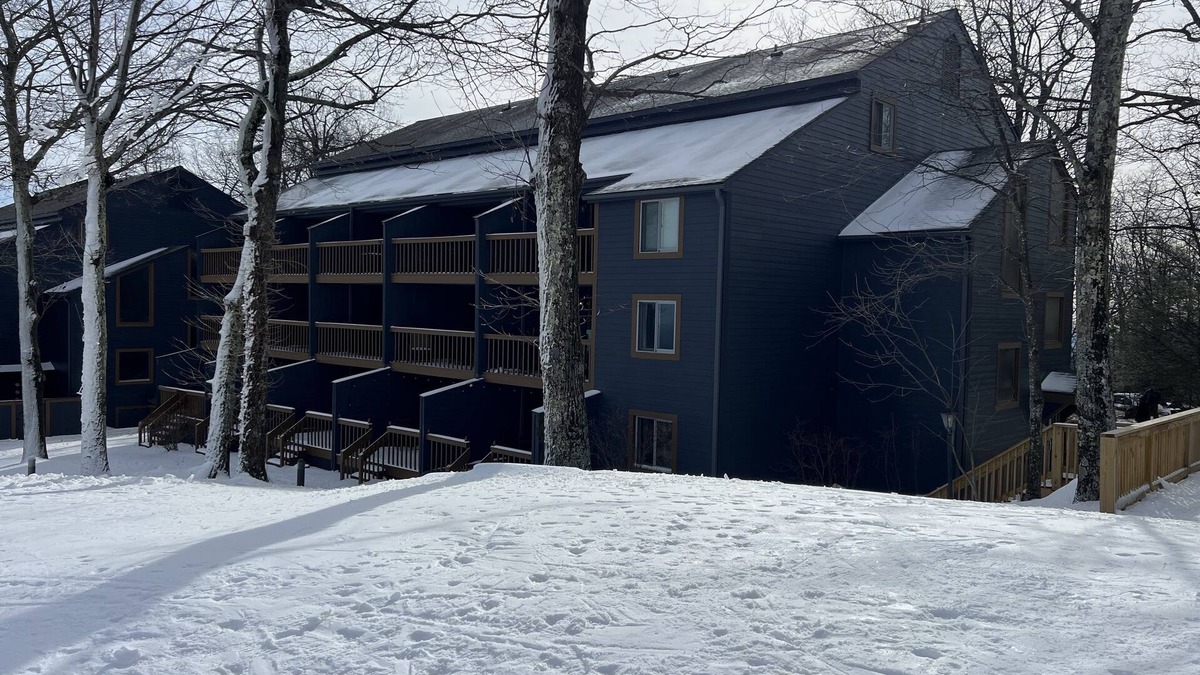 Wintergreen Condo | Ski-In/Ski-Out Comfy Condo