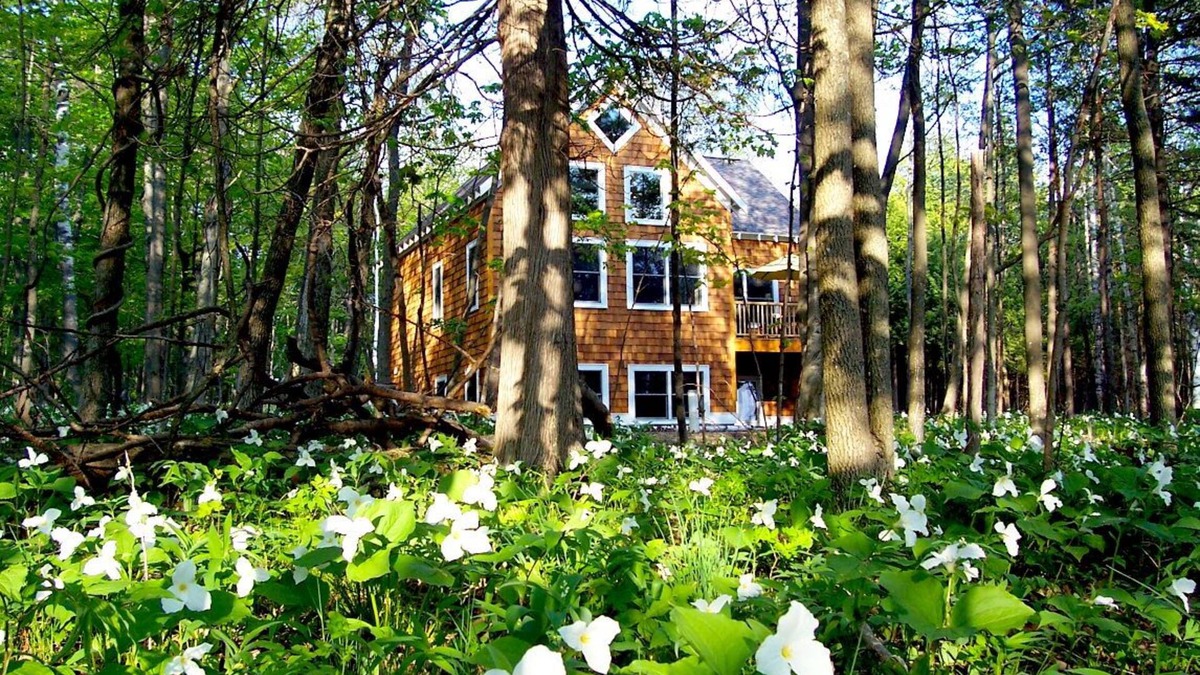 Harbor Springs House | SKI NUBS & BOYNE! Waterfront! OVERLOOKING LAKE MICH! Pool Table, PS2! SUNSETS!