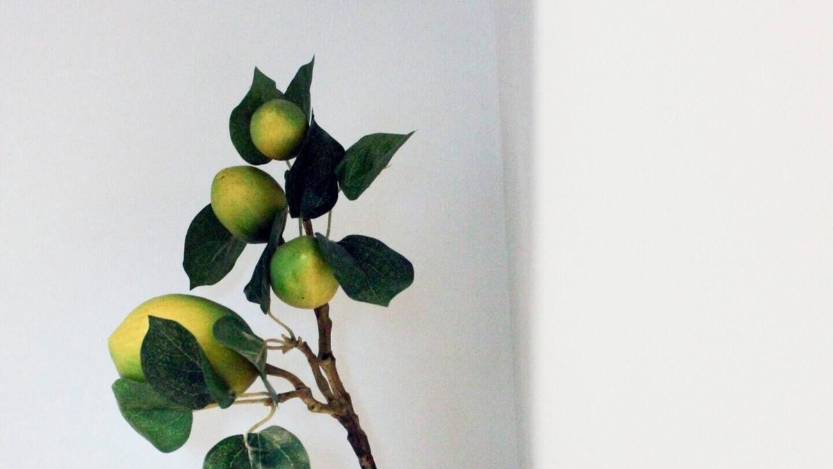 Pukaki Apartment | Sky Suites - Suite 5