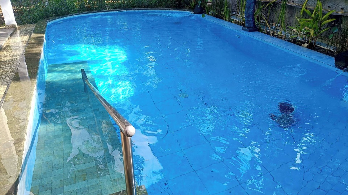 Bukti Bed & Breakfast | Skylodge 3 B&B - Bali Jungle Retreat with Fine Dining & Eco Pool