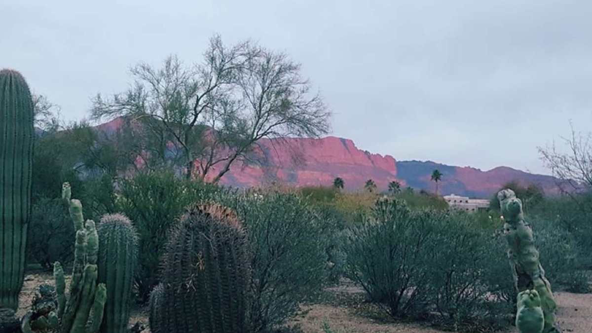 Mesa del Oro House | Sleepy Hollow Haven Amazing Superstition Mountain views & Jacuzzi