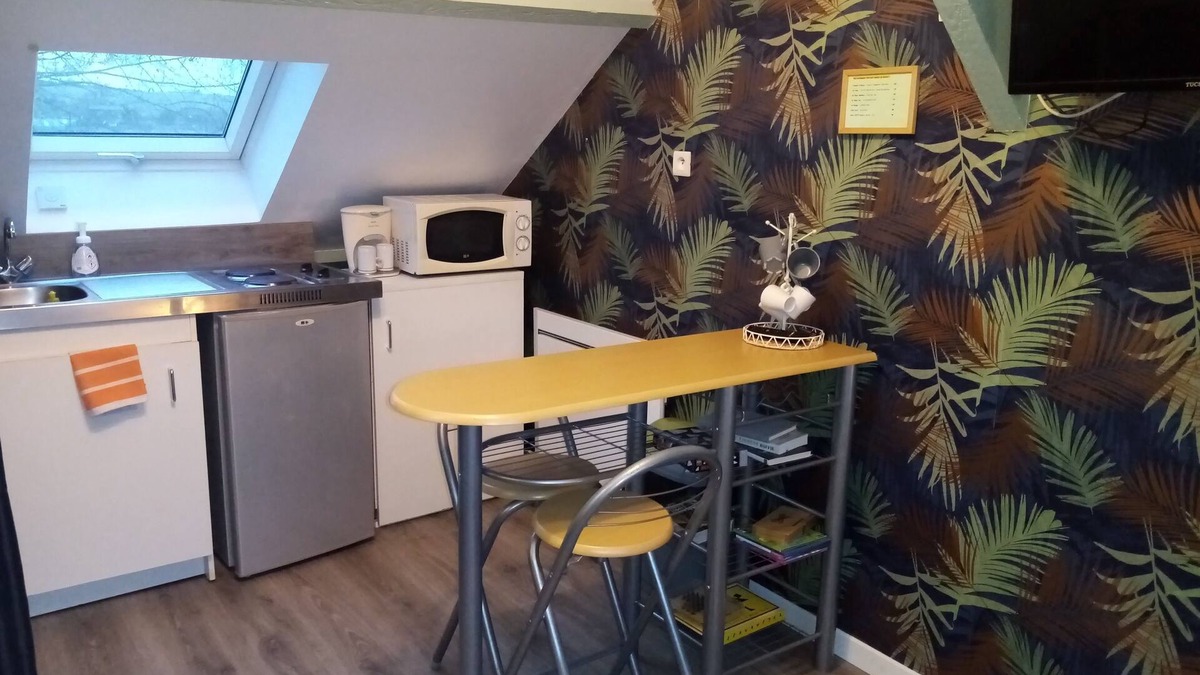 Neuilly Apartment | SMALL ATTIC STUDIO FOR 2 PEOPLE