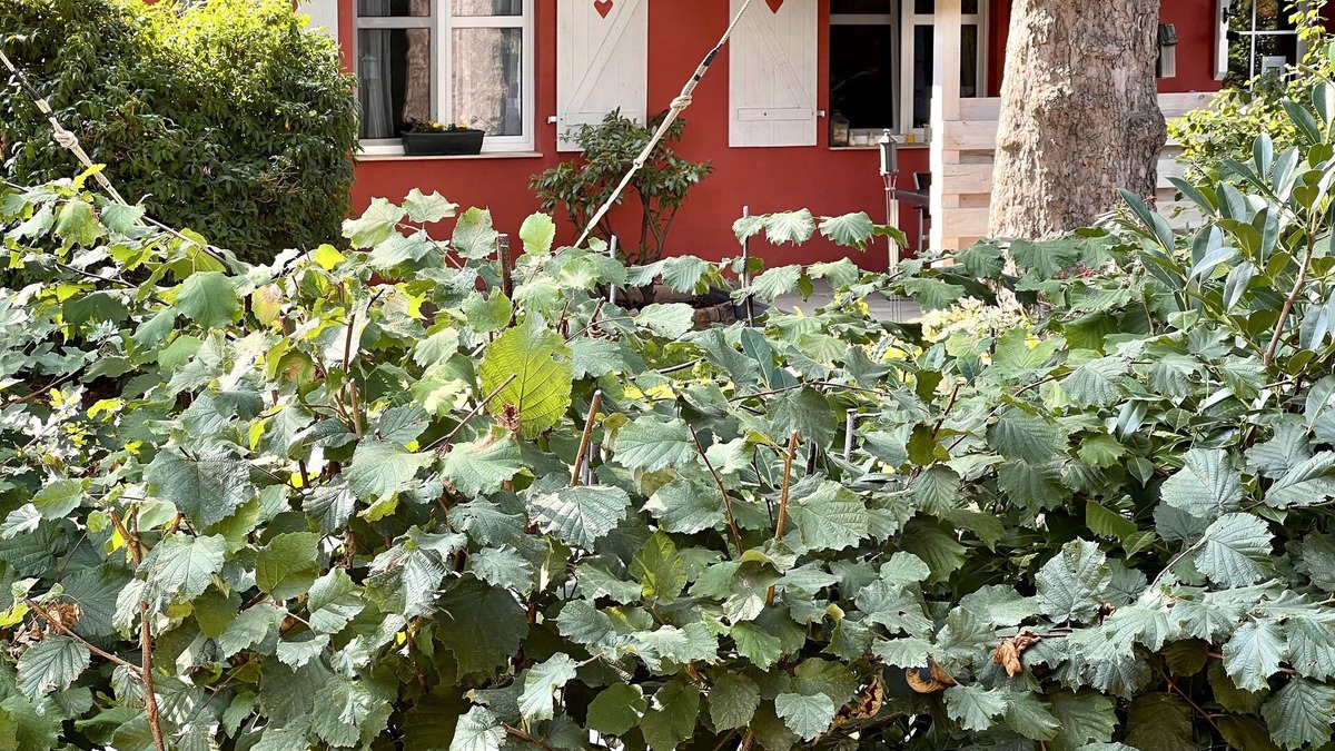 Fehrbellin Cottage | Small country house with sauna and fireplace on the four-sided courtyard