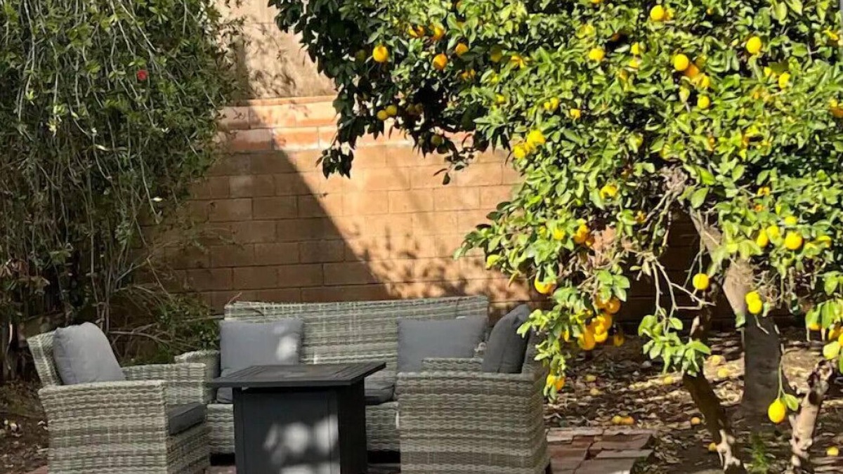 Glendale House | Small frame w/a BIG backYard.