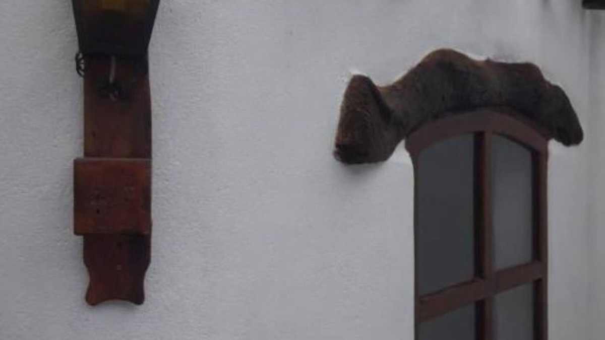 San Carlos House | Small House near Cafayate