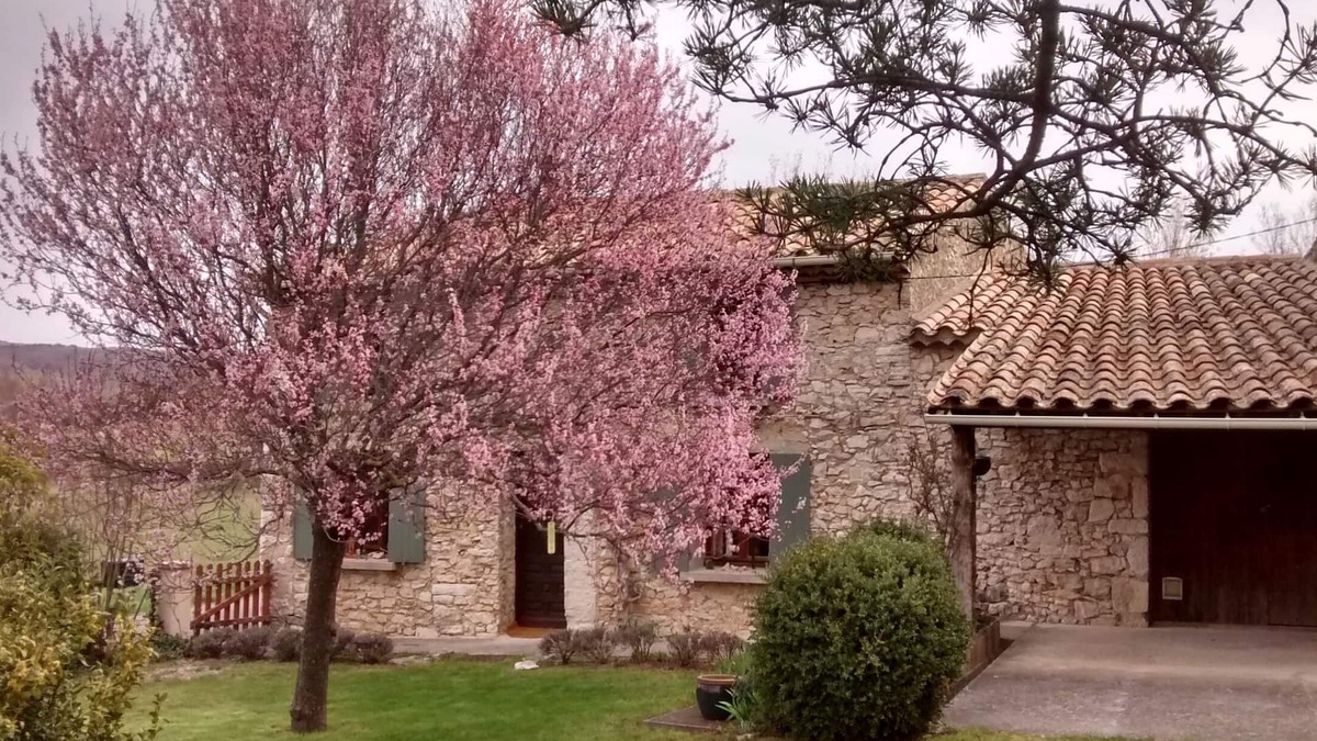 Monieux House | Small Provencal mas in local stone surrounded by nature.