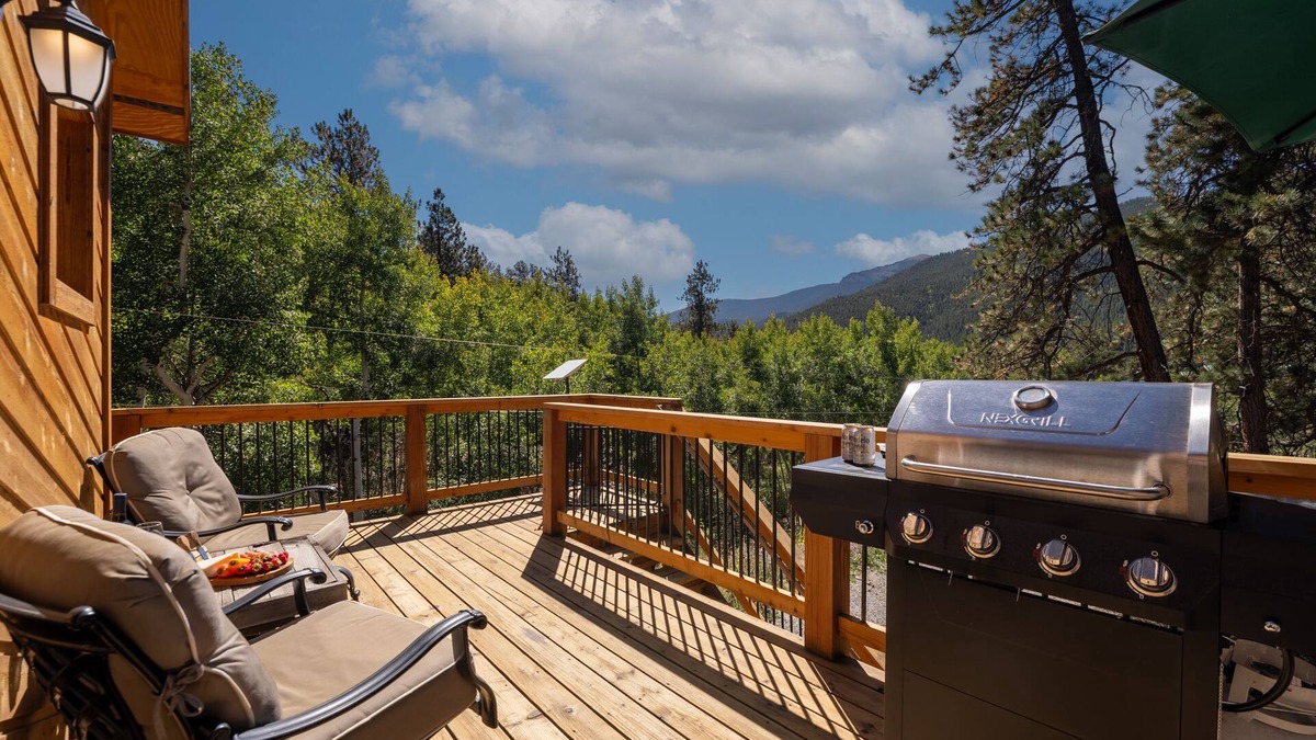 Bailey Cabin | Small Town Charm -Stunning Mtn Views - Sauna- AC - Pike Forest Paradise