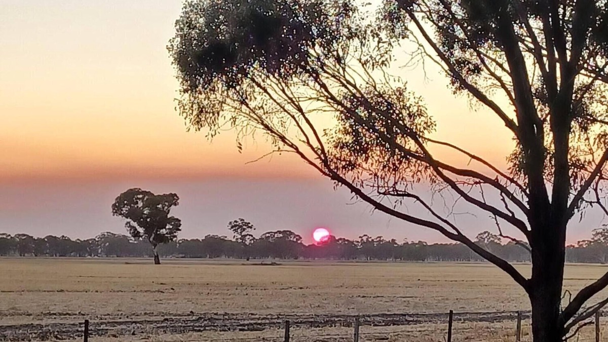Wal Wal House | Snakes a plenty, rough country accommodation, no electronic communications.