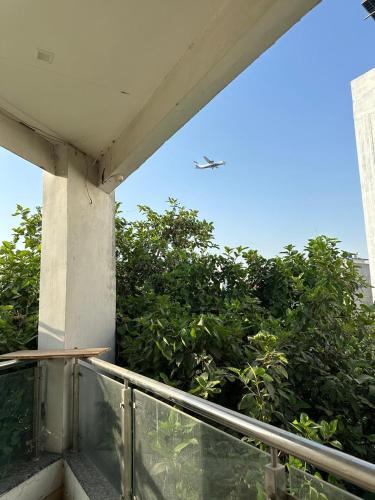 Lucknow House | Snuggles