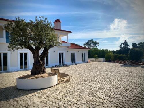 Sintra Bed & Breakfast | So Magoito