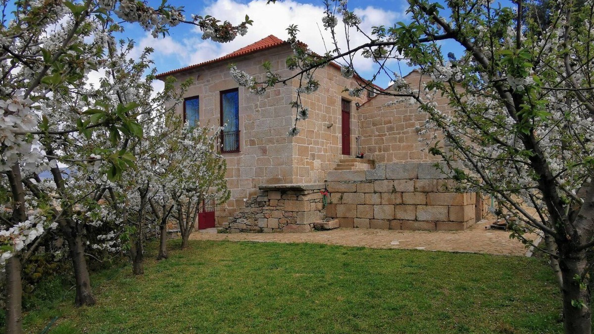 Sernancelhe Apartment | Solar dos Condes da Azenha