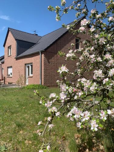 Schenkendobern House | Sonniges Haus