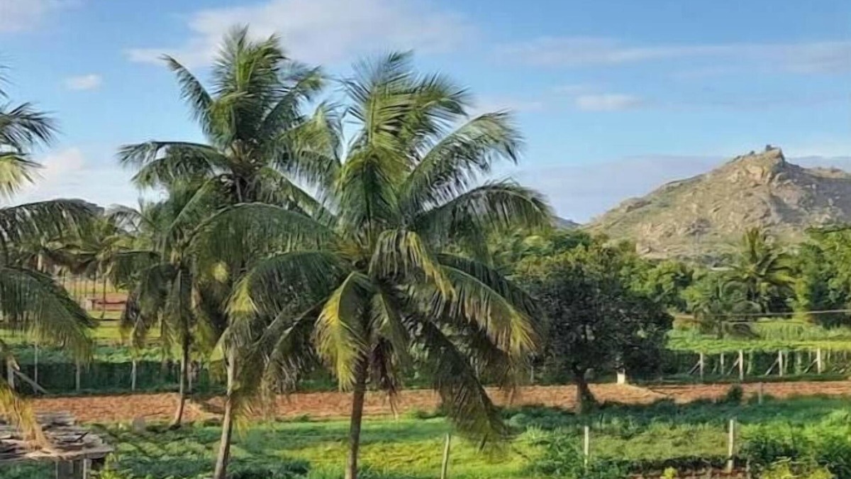 Chikkaballapur Apartment | Soothing apartment with AC in picturesque Nandi Hills