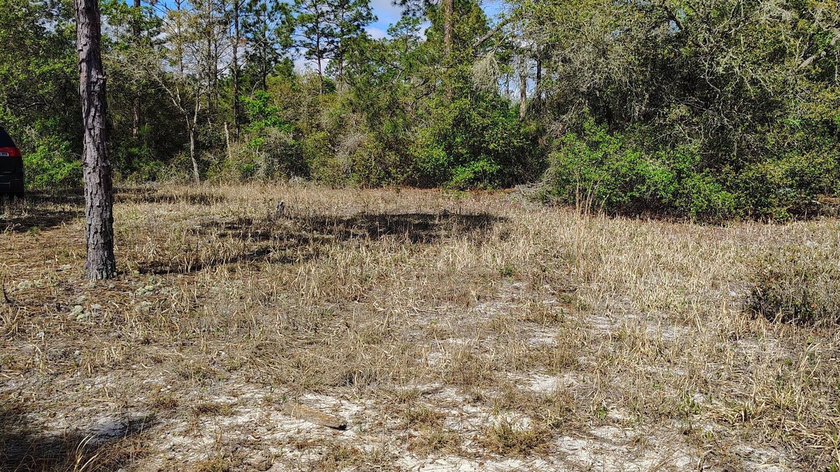Edgar RV Rental | Soothing campground in Interlachen for a peaceful getaway