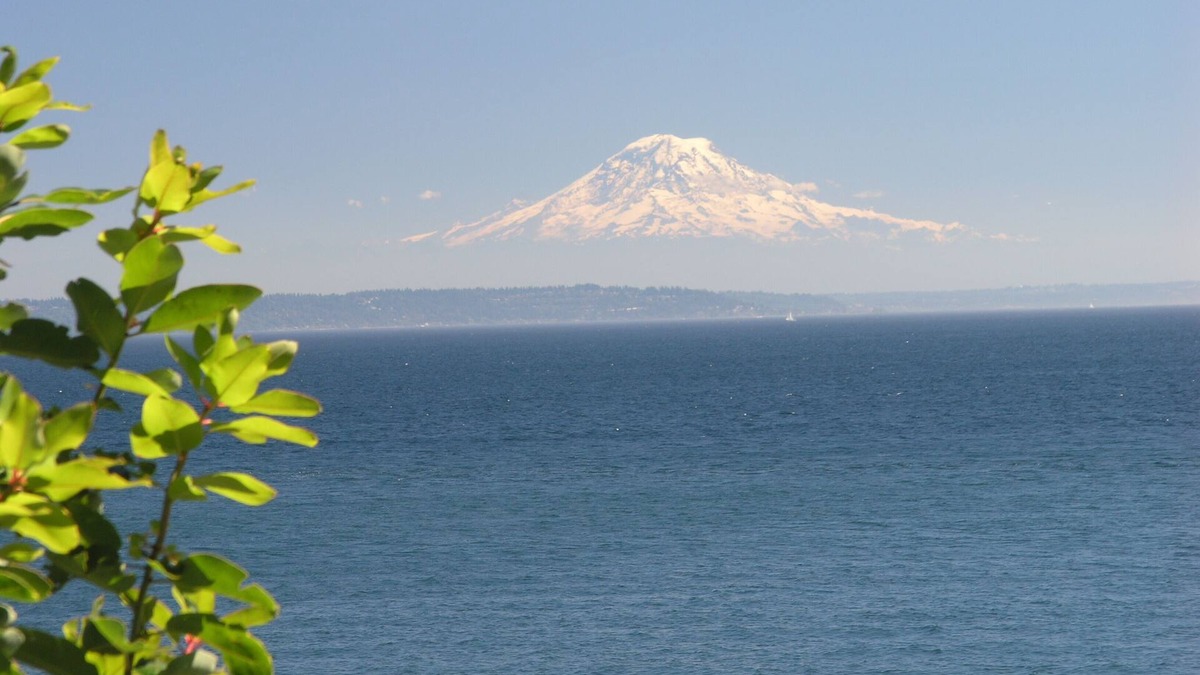 Bainbridge Island House | South Beach Cozy Cottage - Waterfront Perfection