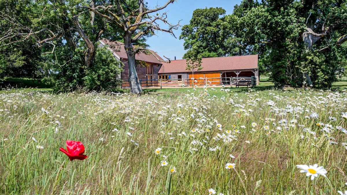 Chute Forest Bed & Breakfast | South Park Farm Barn