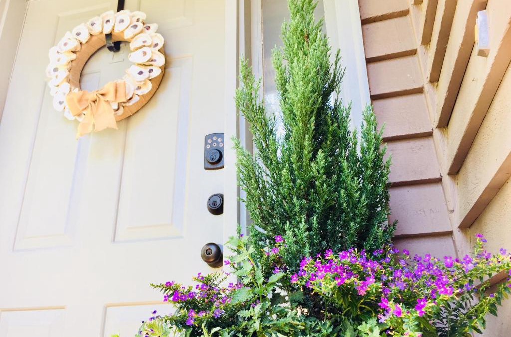 North Charleston Apartment | Southern Sophistication at the Park
