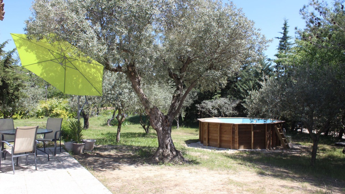 Saint-Pierre-de-Vassols Villa | Space & light on ground 1200 m2 planted with Provence olive trees 4 km from Mt Ventoux