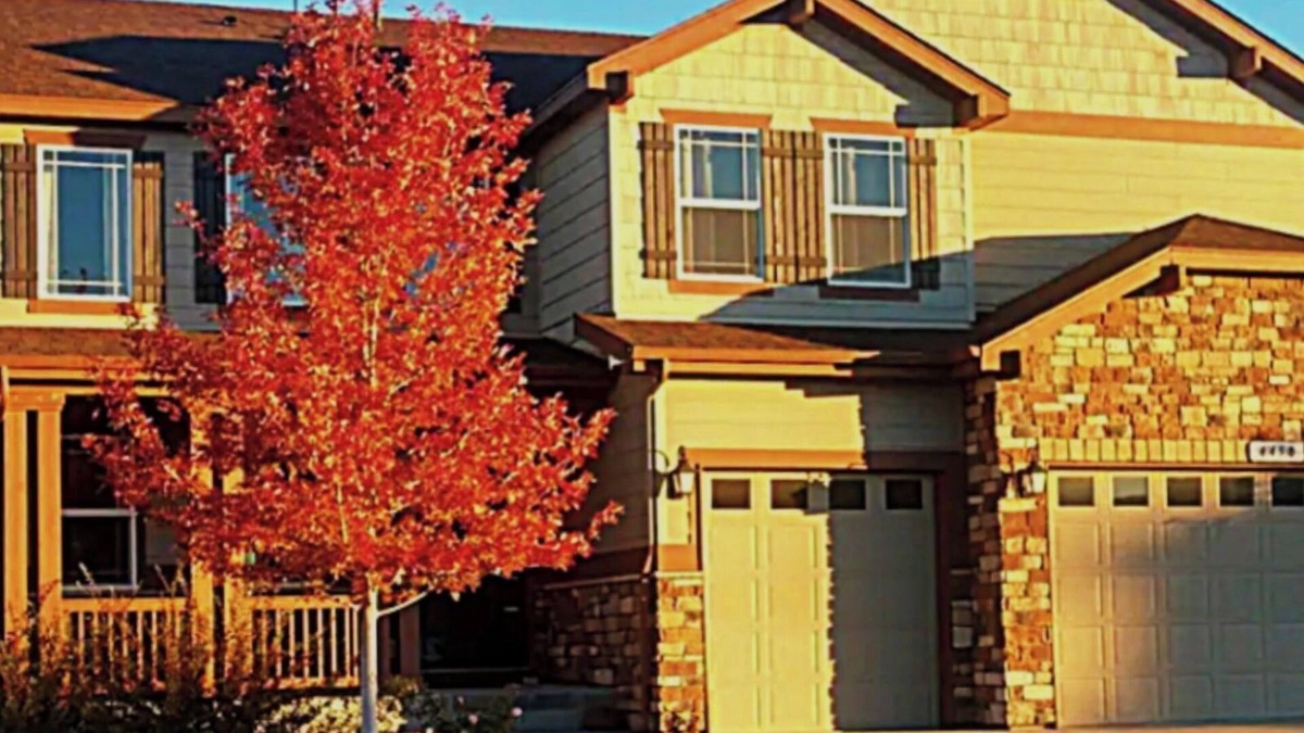 Castle Rock House | Spacious 1 Bdrm Walkout Basement, backs to open space, 5 min to downtown & parks