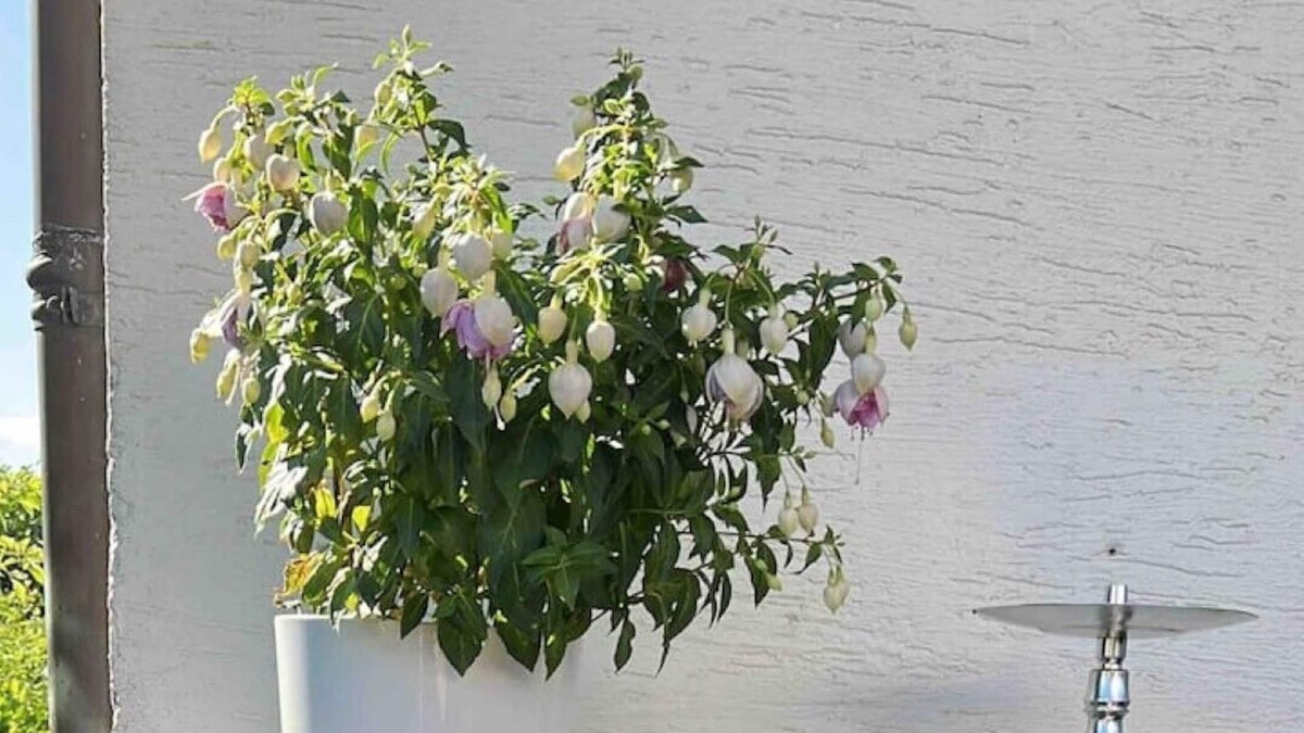 Bad Emstal Apartment | Spacious 3 room apartment in Bad Emstal