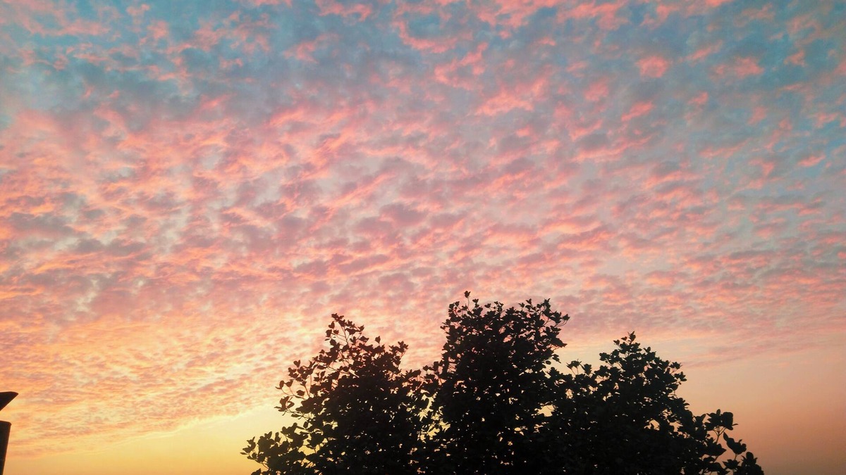 Dehradun House | Spacious 5-bedroom house in delightful Dehradun with WiFi, AC