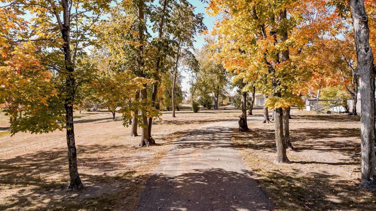 Battle Lake House | Spacious 5-bedroom house on Deer Lake, with Amazing Sunsets and View of the Lake