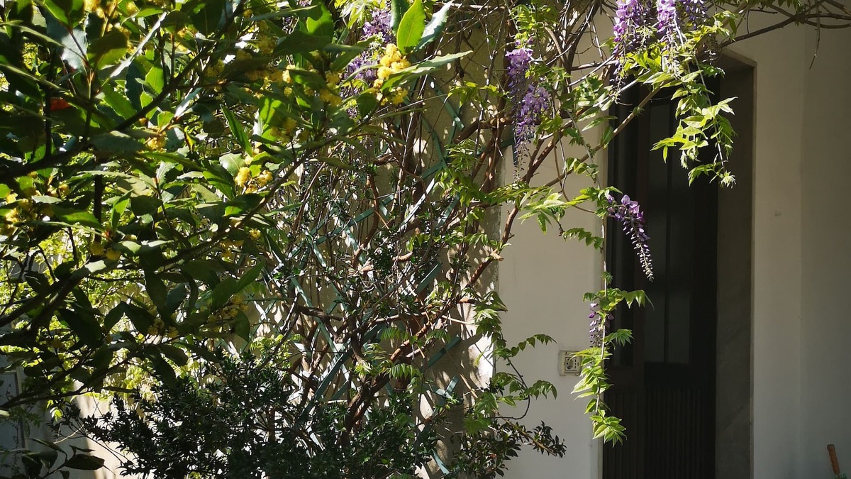Precotto Apartment | SPACIOUS AND QUIET APARTMENT IN A VILLA