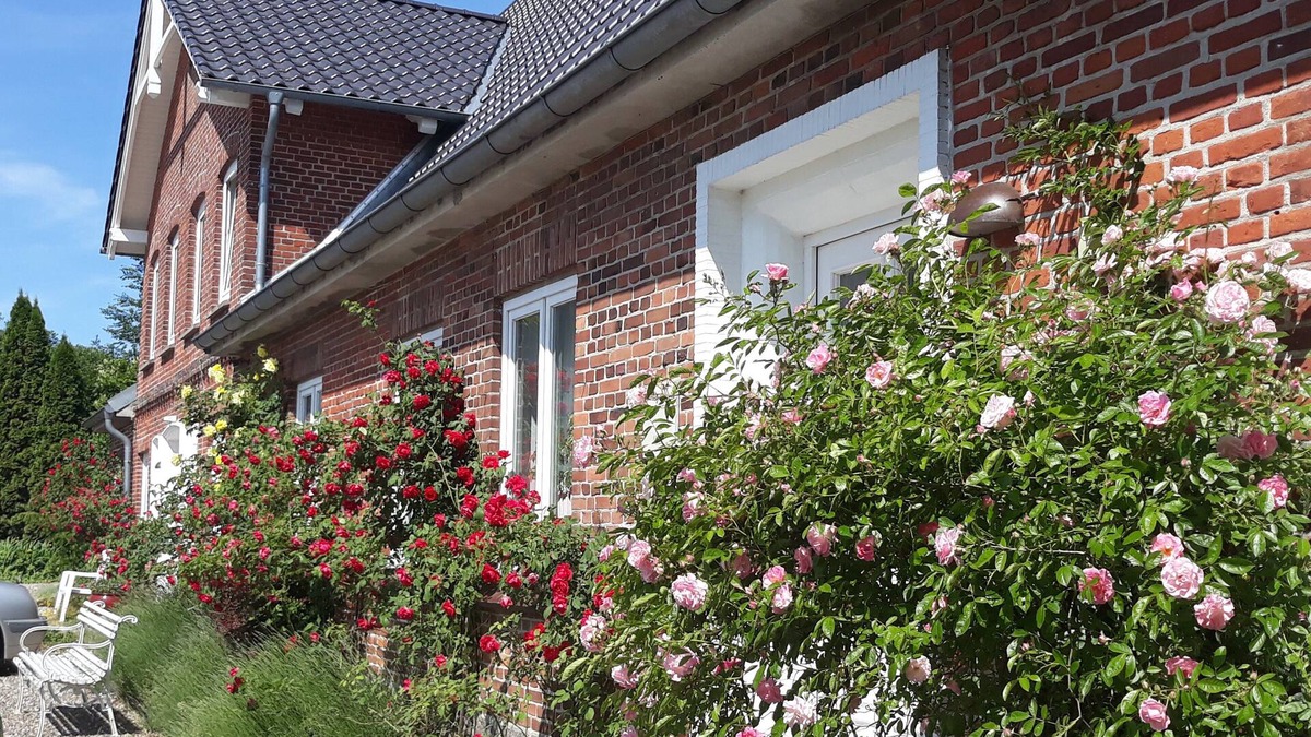 Stoltebuell Other | Spacious apartment for two