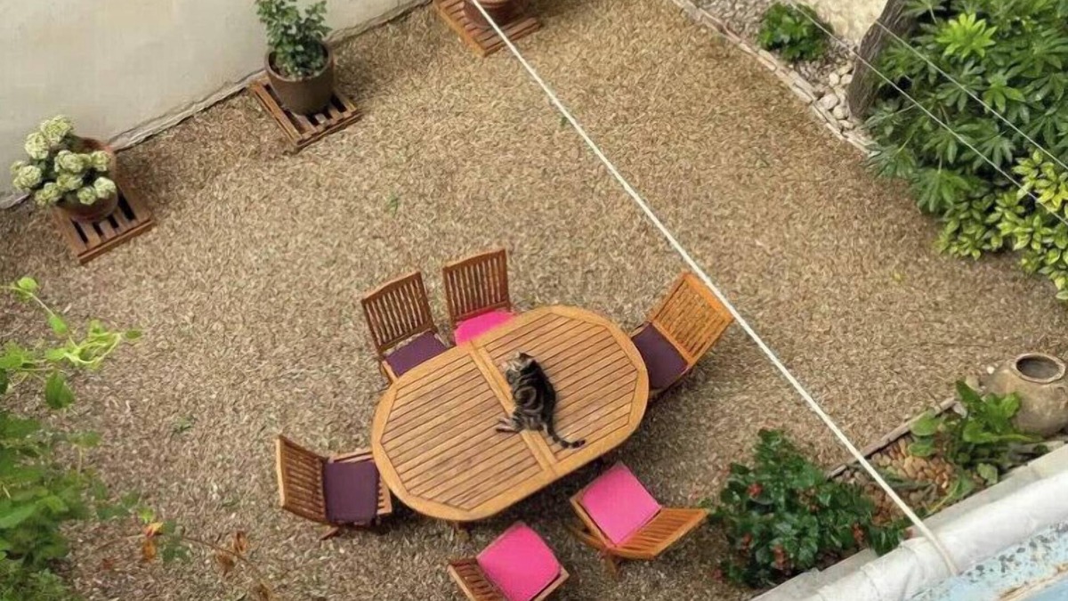 Faubourg Apartment | Spacious apartment in Nîmes for 8 people