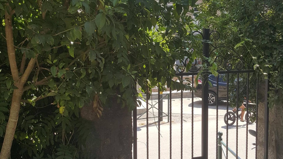 Sartene Apartment | Spacious apartment in the heart of Sartene with garden and summer kitchen.