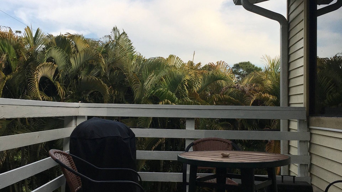 Pine Island Center Apartment | Spacious apartment located within the heart of paradise.
