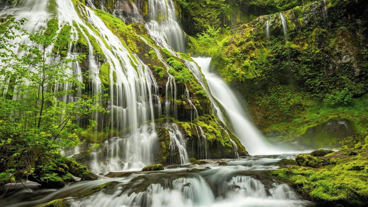 Lake Forest House | Spacious extended-stay hotel near Portland - Lake Oswego