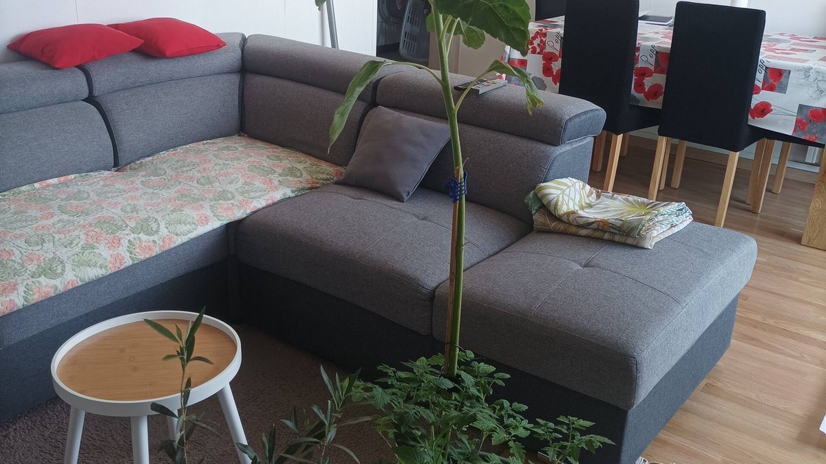 Clos des Roses Apartment | Spacious, fully-equipped apartment 5 minutes from the center and château of Compiègne