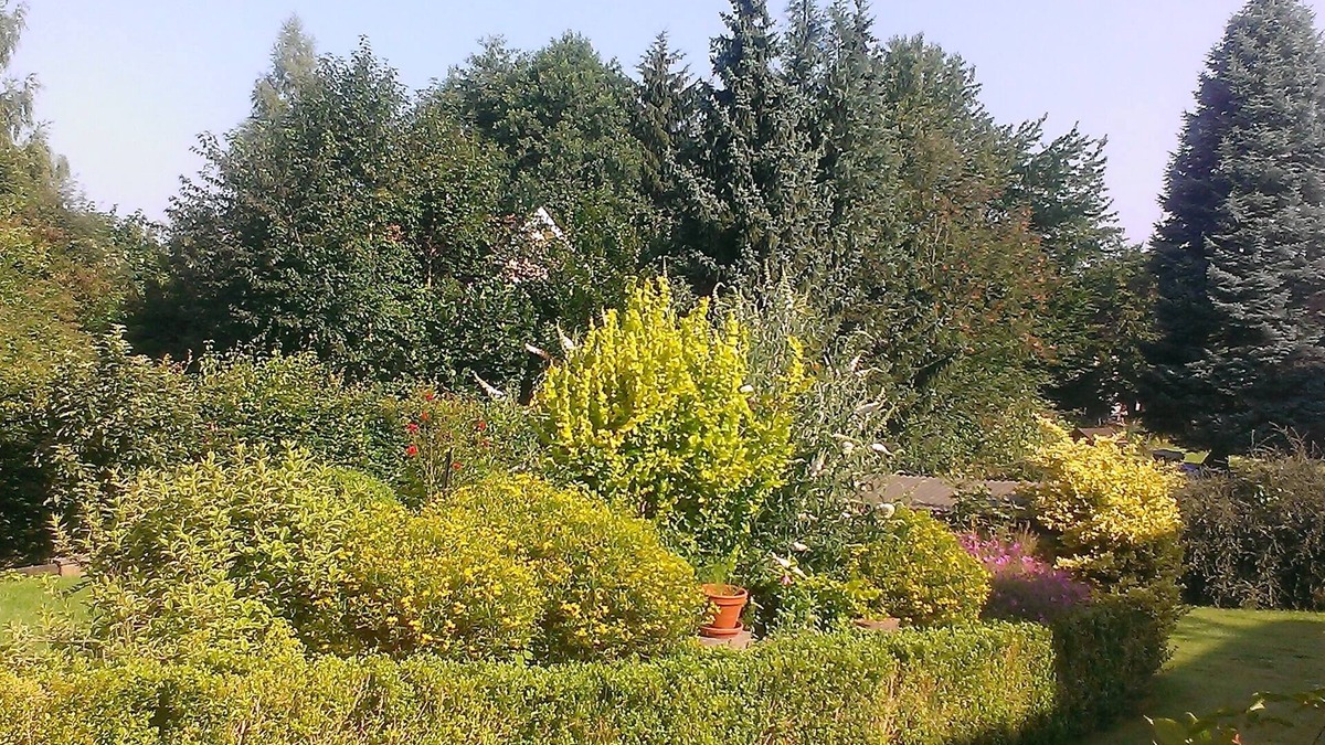 Landolfshausen Apartment | Spacious holiday apartment