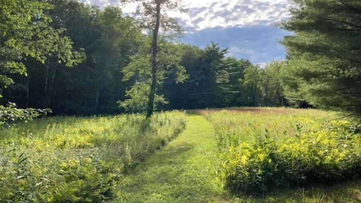 Wolfeboro House | Spacious lake retreat on 17 acres