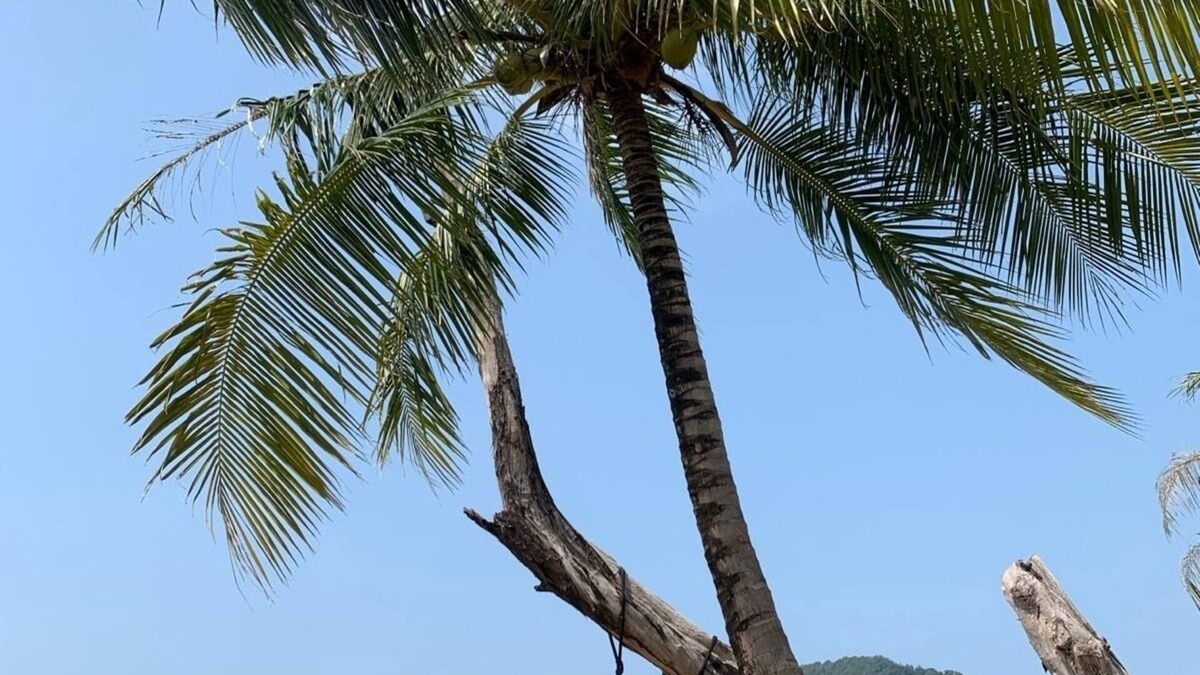 Ko Chang Villa | Spacious luxury villa with private pool, gardens on Koh Chang, Thailand