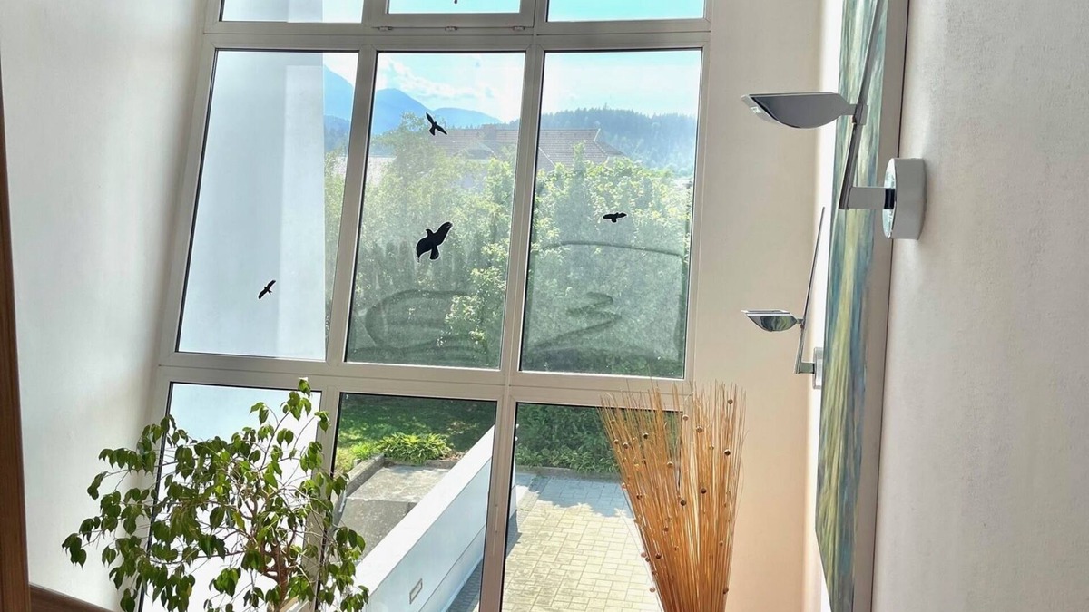 Gosselsdorf Villa | Spacious modern villa with large garden.