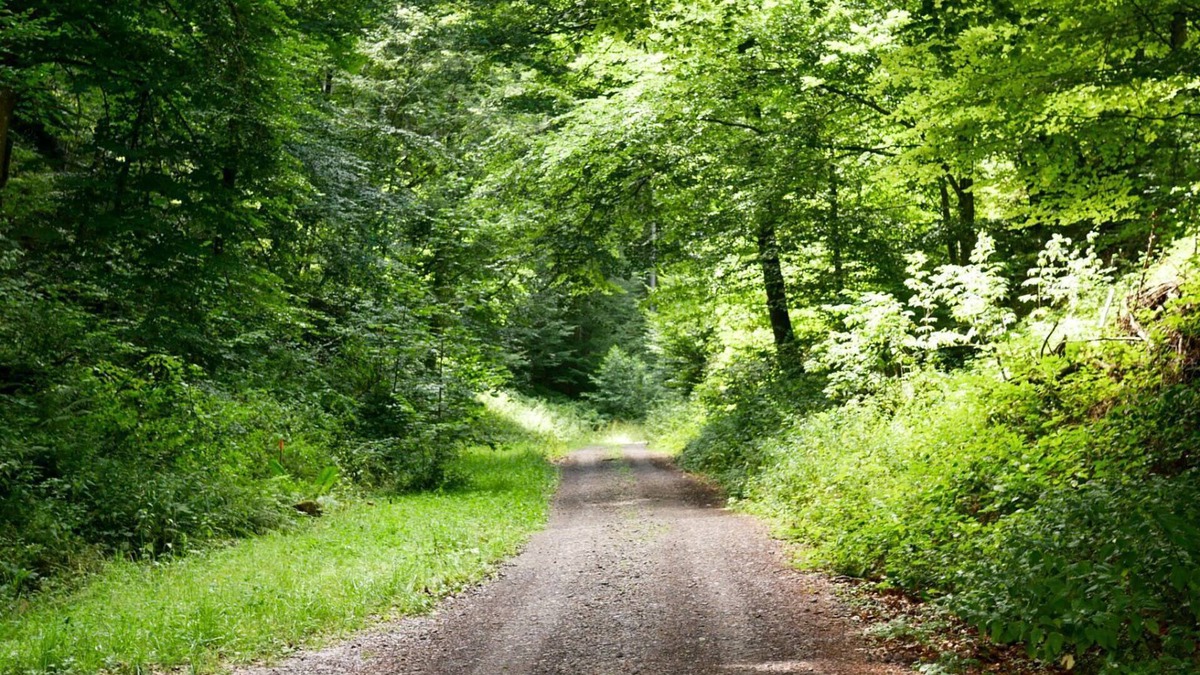 Esthal Apartment | Spacious vacation apartment on the edge of the Palatinate Forest