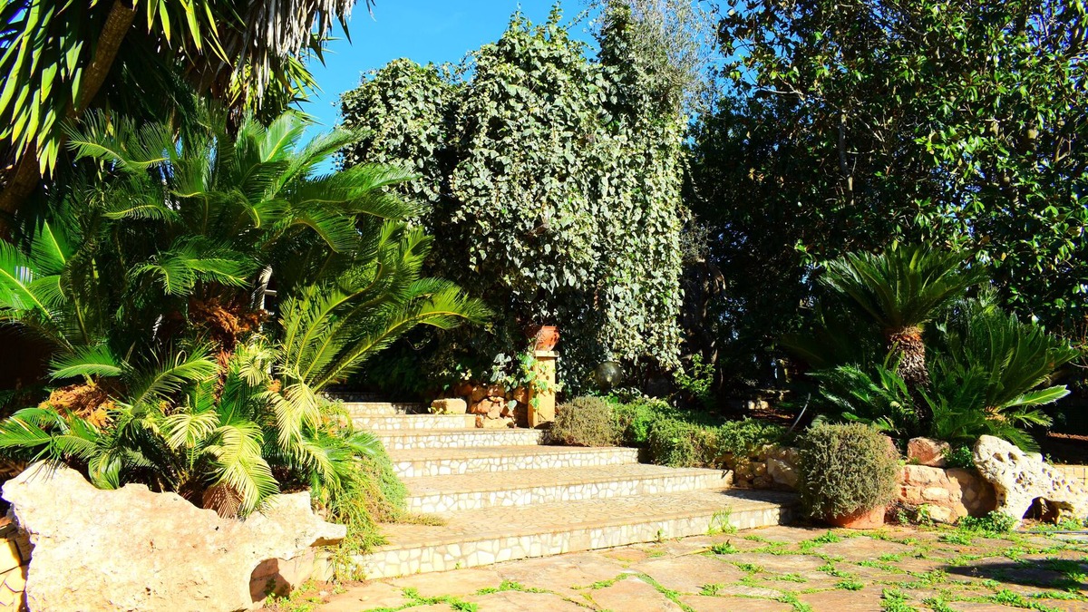 Copertino Villa | Spacious villa surrounded by greenery, ideal for groups(Numerous all inclusive services)