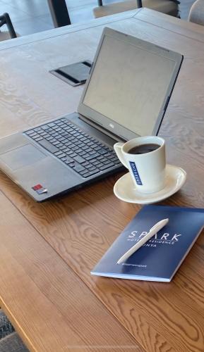 Selcuklu Hotel | SPARK HOTEL RESIDENCE KONYA