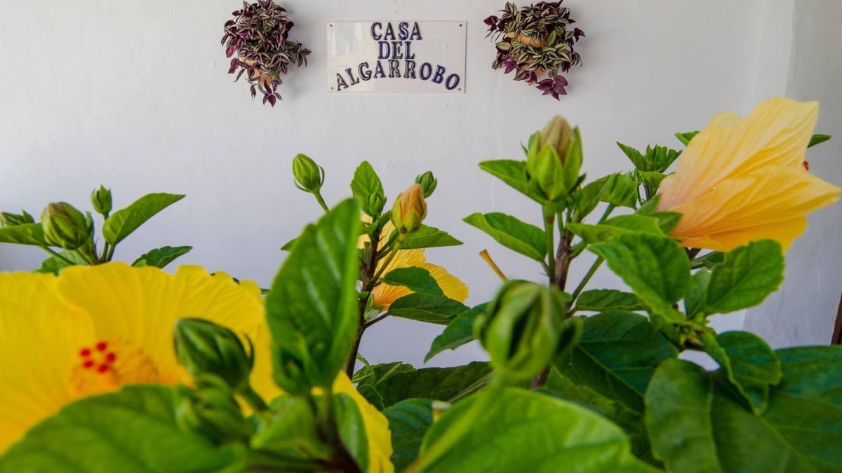 Canillas de Aceituno Villa | Spectacular villa South of Spain sleeps 10